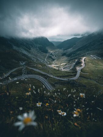 Epic view of Transfagarasan pass at summer,with flowers in foreground.の写真素材