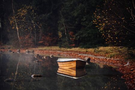 Autumn wallpaper. Boat,trees,and silence in the forestの写真素材