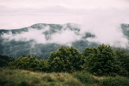 Mountain landscape with forest and fog in the morning. Beautiful natural background.の写真素材