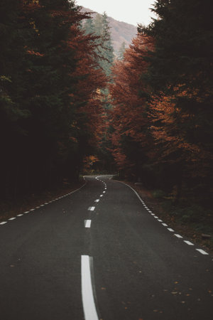 Autumn landscape with road and trees in the mountains, vintage filterの写真素材