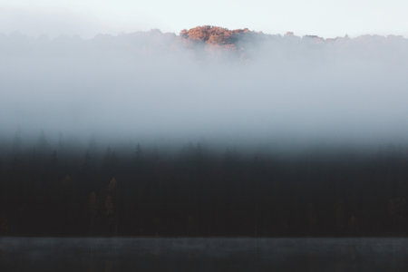 Foggy morning on the lake. Landscape with foggy forest.
