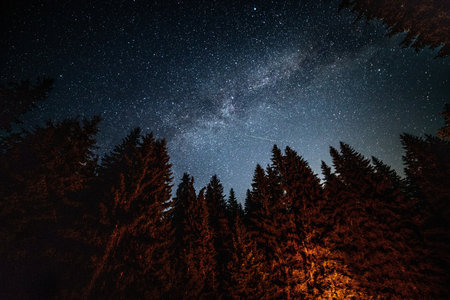 Milky way over the forest at night. Starry sky and milky way.の写真素材