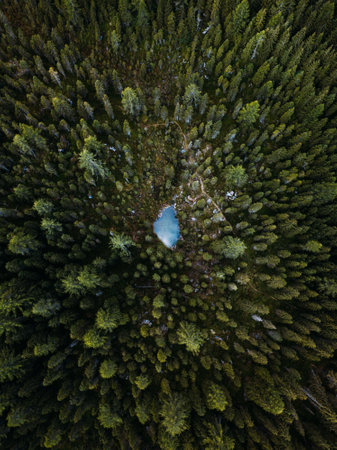 Aerial drone view of forest and lake in Italy,Dolomities. Top viewの写真素材