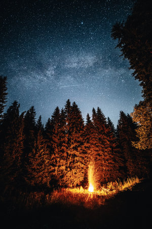 Campfire in the forest at night with stars and milky wayの写真素材
