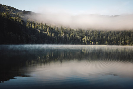 Misty morning at the lake in Saint Anne,Europe,Transylvania.