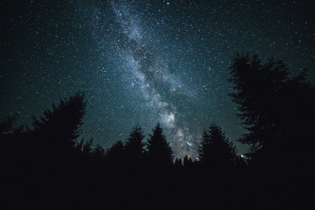 Milky way over the forest. Starry sky with milky way.