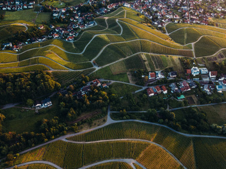 Aerial view of the vineyards, Germany.