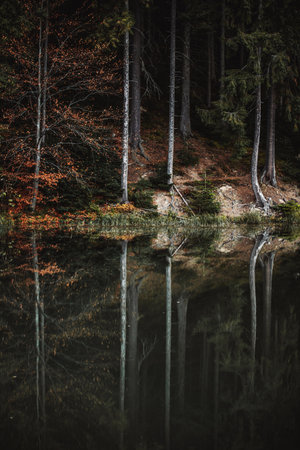 Autumn forest reflected in the water of a mountain lake