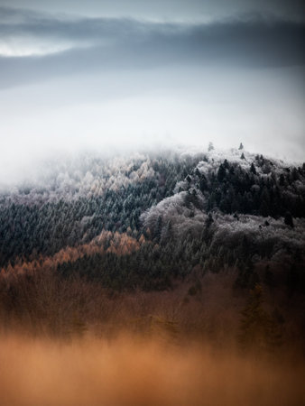 Colorful Autumn-Winter Forest Landscape. First snow in the mountains. A Change of Seasons. Transylvania,Romania.の写真素材