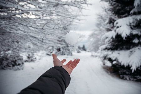 Hand of a man holding a snow ball in the winter forest.