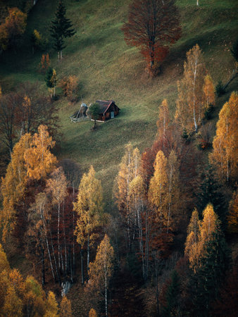 Autumn mountain landscape with colorful forest and rural house in the mountains