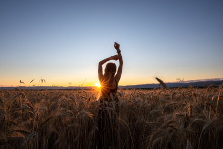 Young woman in a wheat field at sunset. Beautiful girl in a wheat field at sunset.の写真素材