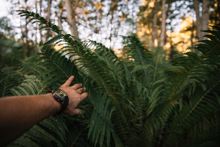 Close up of explorer male hand in green rainy forest.Survival travel,lifestyle concept.