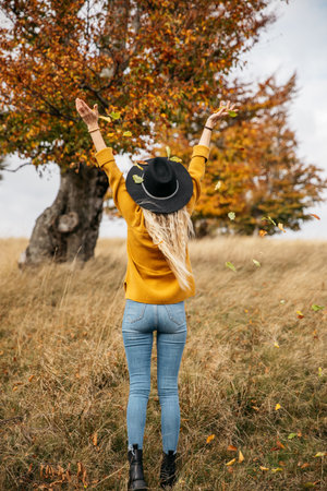 Back view of a beautiful young woman in a yellow sweater and black hat in the autumn park.の写真素材