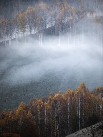 Foggy morning in the autumn forest.の写真素材