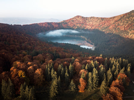 Aerial view of foggy autumn morning in the mountain forest.の写真素材