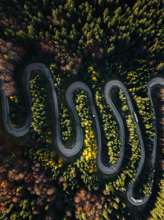 Aerial view of a winding road in the autumn forest. Drone photographyの写真素材