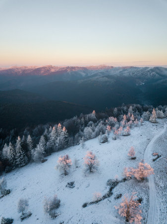 Aerial view of winter mountain landscape with snow covered trees at sunsetの写真素材