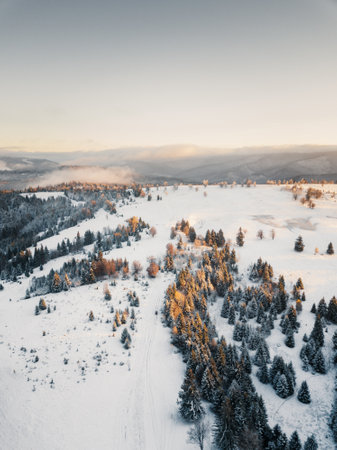 Aerial view of winter forest at sunset. Beautiful winter landscape with snow covered treesの写真素材