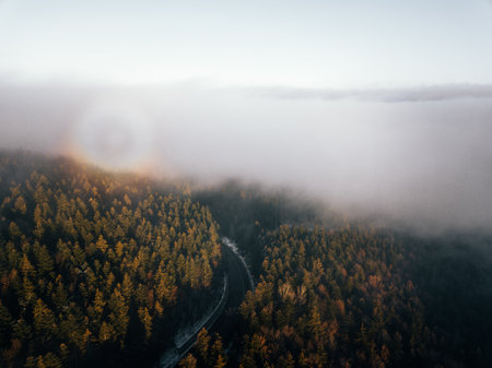 Aerial view of foggy forest in the morning. Drone photographyの写真素材