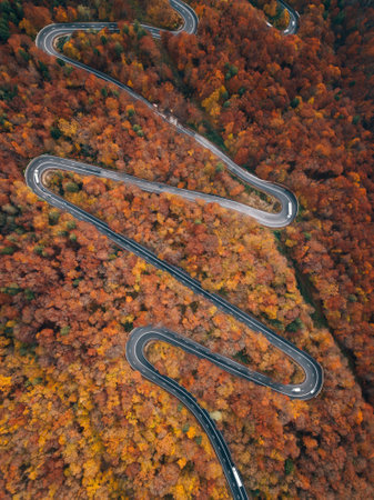 Aerial view of winding road in autumn forest. Top view.の写真素材