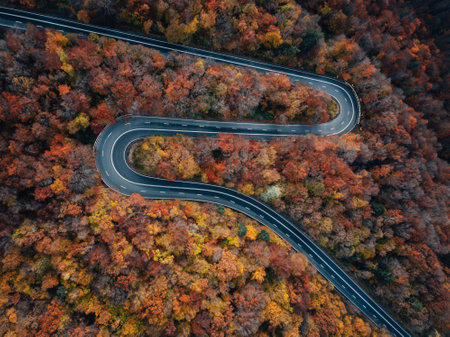 Aerial view of winding road in the autumn forest. Top viewの写真素材
