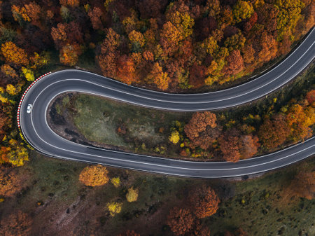 Aerial view of a curvy road in the autumn forest.の写真素材