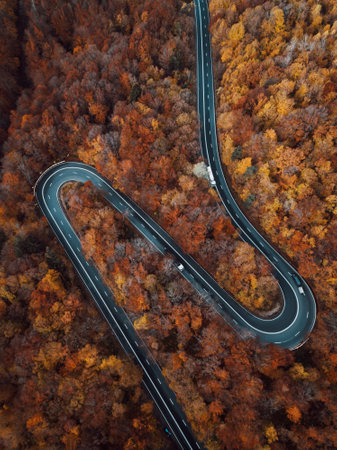 Aerial view of a winding road in the autumn forest. Drone photography.の写真素材