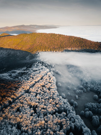 Aerial view of foggy morning in the Carpathian mountains.の写真素材