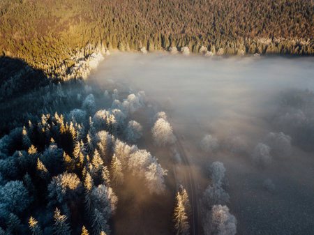 Aerial view of foggy winter forest at sunset. Drone photographyの写真素材