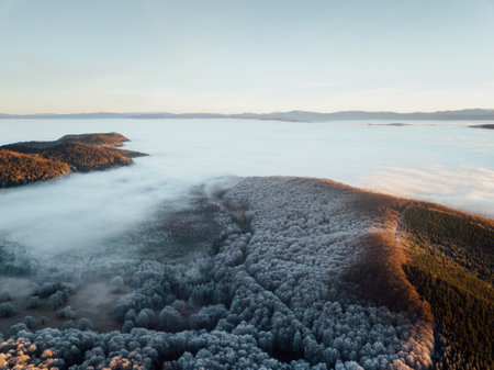 Aerial view of foggy morning in Carpathian mountains.の写真素材