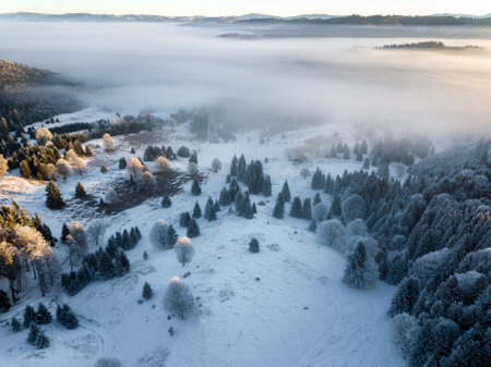 Aerial view of beautiful winter landscape with trees covered with hoarfrostの写真素材