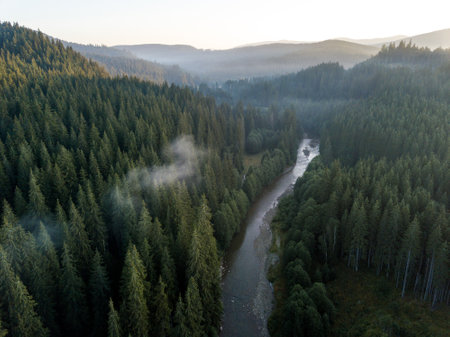 Aerial view of the mountain river in the morning fog. Drone photographyの写真素材