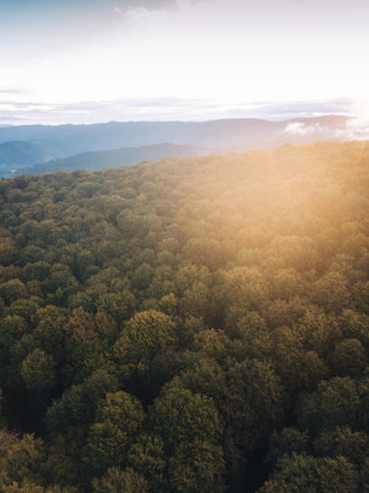 Aerial view of beautiful forest in the mountains at sunset time.の写真素材