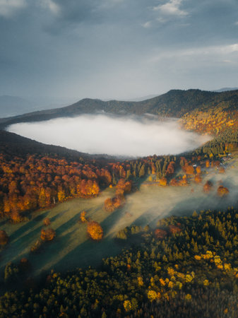 Aerial view of misty autumn morning in Carpathian mountainsの写真素材