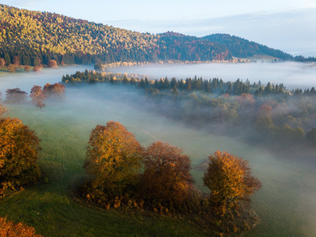 Aerial view of foggy autumn morning in the Carpathian mountainsの写真素材