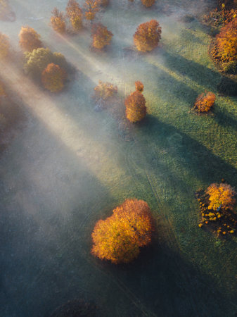 Aerial view of autumn forest with sunbeams and fog.の写真素材