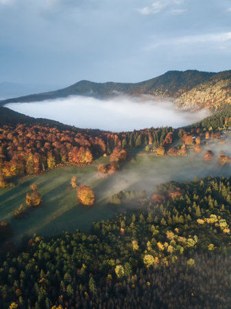 Aerial view of foggy autumn morning in Carpathian mountainsの写真素材