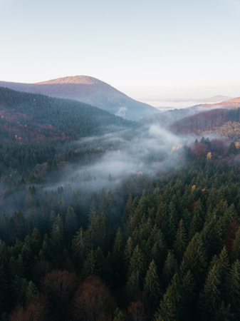 Aerial view of foggy morning in the autumn forest. Beautiful landscape.の写真素材