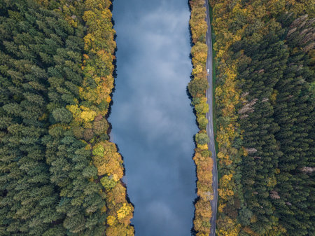 Aerial view of the river and forest in autumn, Poland.の写真素材