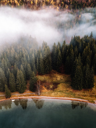 Aerial view of foggy autumn morning at lake in forest.の写真素材