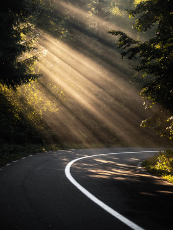 Asphalt road in the forest with sunbeams and lens flareの写真素材