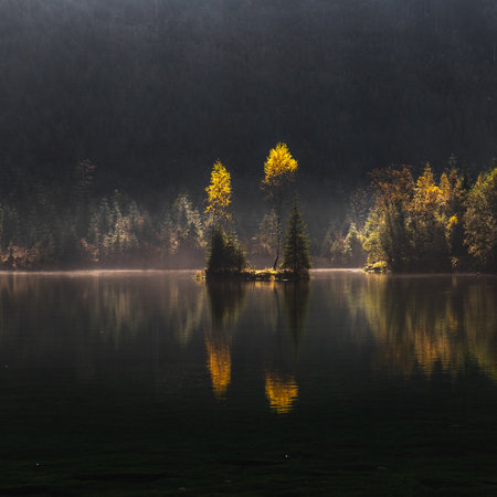 Autumn landscape with lake and forest in foggy misty morningの写真素材
