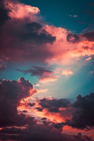 Above the clouds