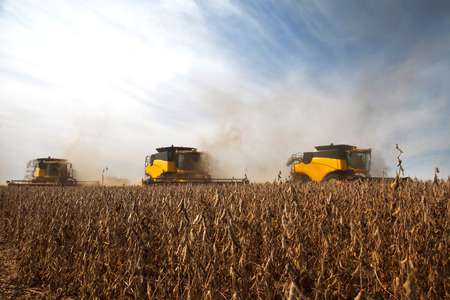 Soy harvest. - Mato Grosso State - Brazilの写真素材