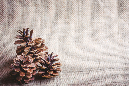 Christmas background, tree cones on linen fabric with empty copy space on the side.の写真素材