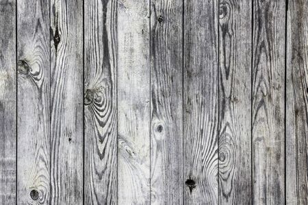 Grunge gray wood texture.の写真素材