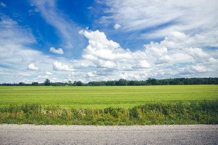 Clouds on blue sky over green empty field and asphalt road summer background.の写真素材
