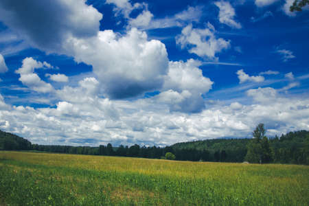 Clouds on blue sky over green empty field summer background.の写真素材