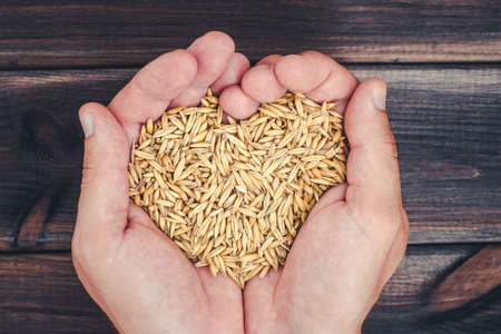 Oats seeds on hands over wooden table. Heart shape, health and diet background.の写真素材